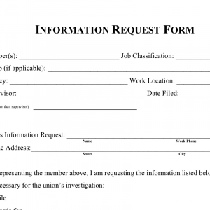 Screenshot of an information request form