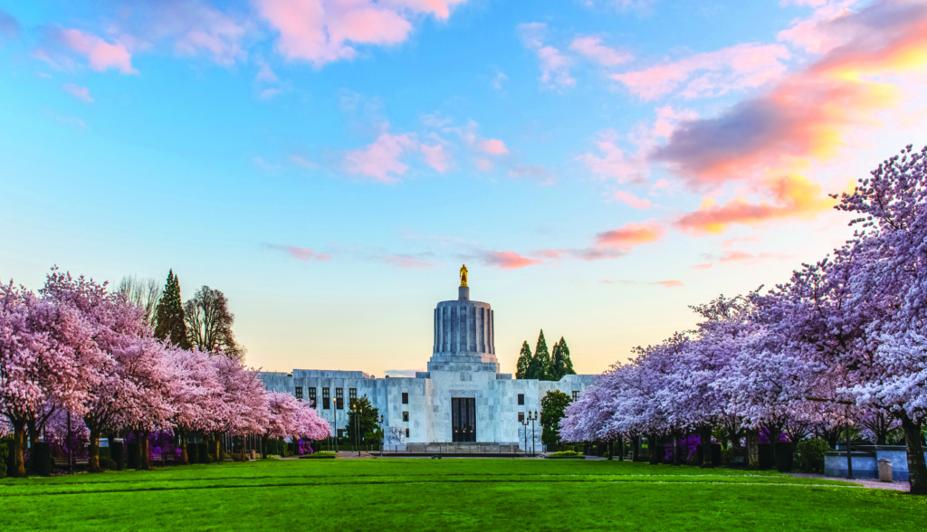 The oregon state capitol building. A sunset with pink clouds is visible in the background, and cherry trees with pink blossoms on both sides of the building.