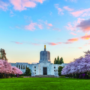 Здание Капитолия штата Орегон. На заднем плане виден закат с розовыми облаками, а по обеим сторонам здания виднеются вишневые деревья с розовыми цветами.